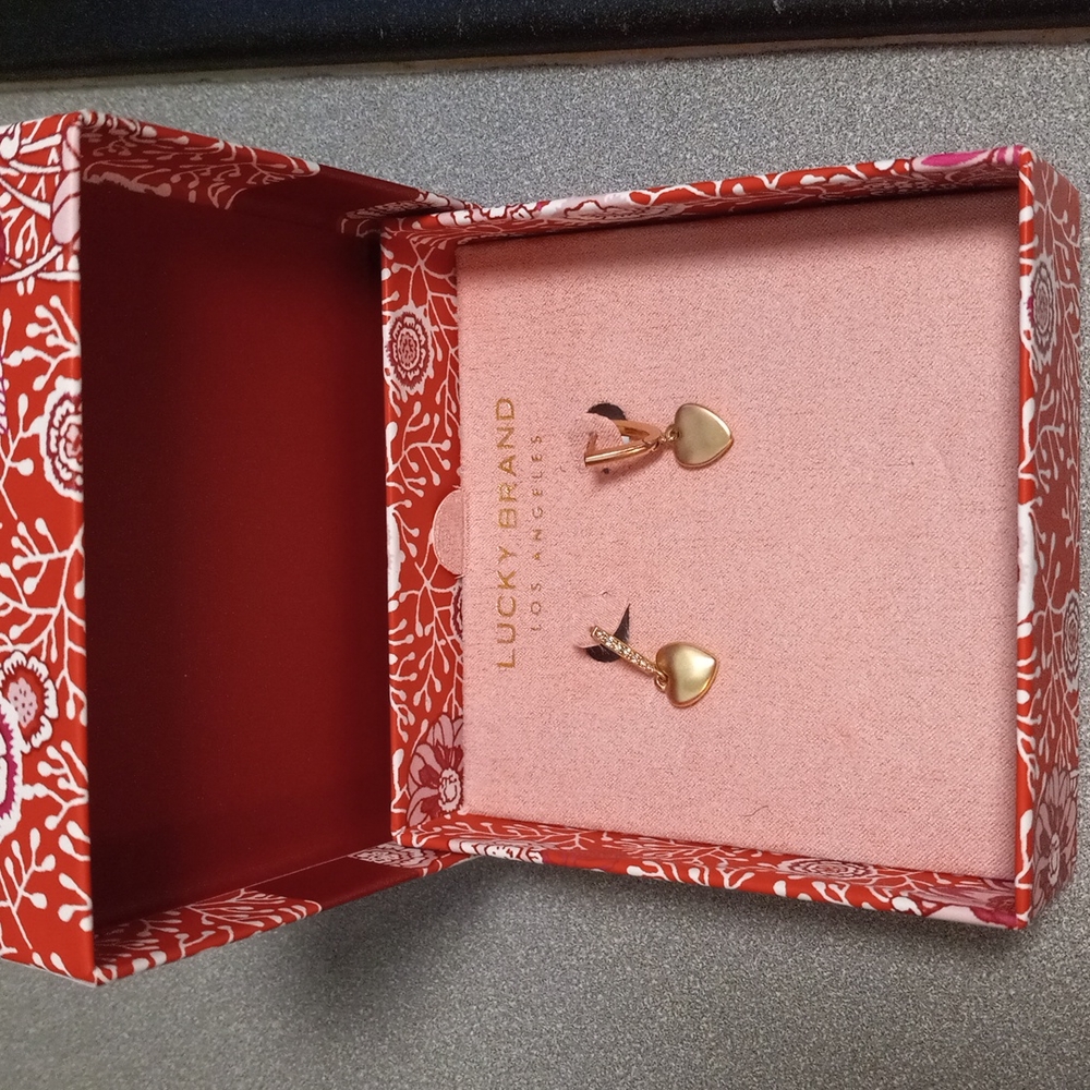 Earrings